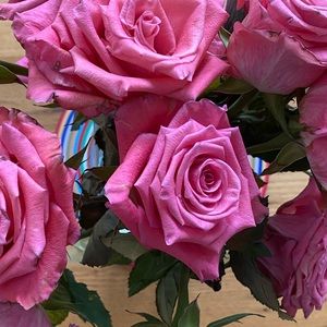 Meet your Posher, Sonya